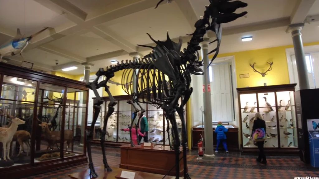 زيارة متحف ايرلندا الوطني National Museum of Ireland