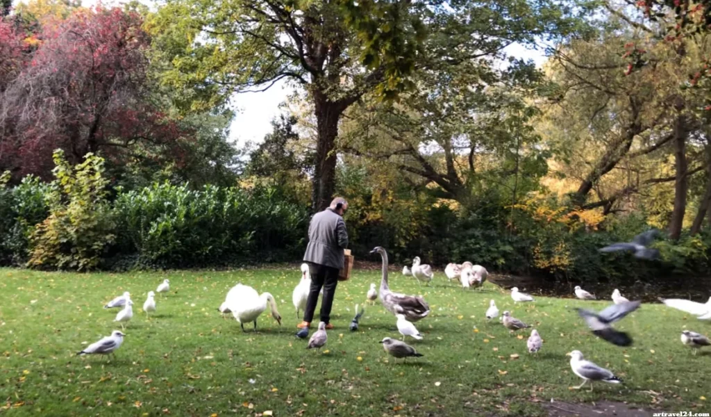 التنزه في St. Stephen’s Green